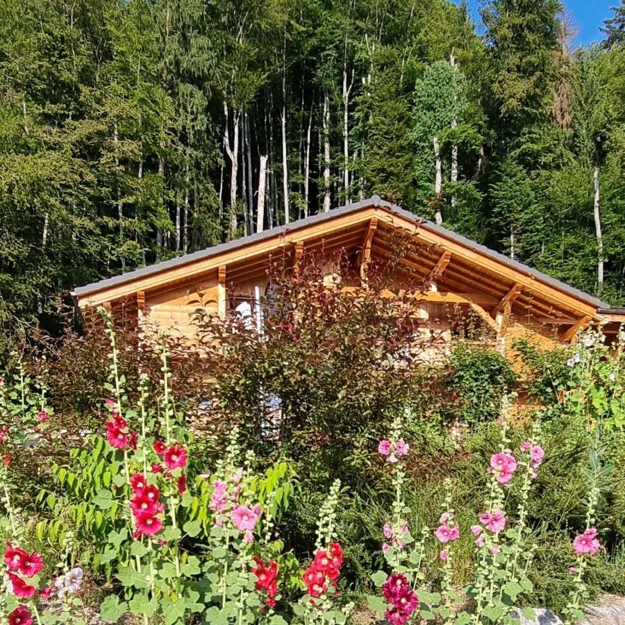 Chalet Arpitan - Les Carroz - Grand Massif Villa Exterior photo