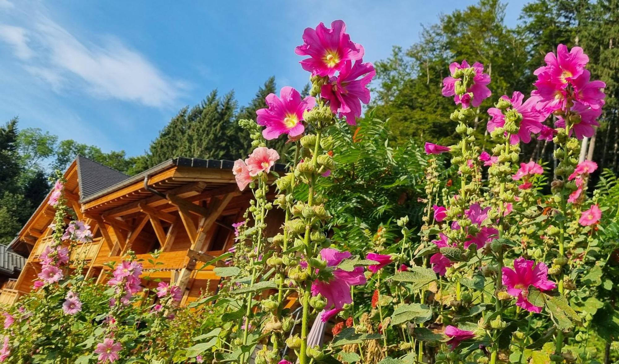 Chalet Arpitan - Les Carroz - Grand Massif Villa Exterior photo